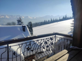 U Wacława pod lasem Zakopane